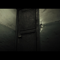 Asylum Door