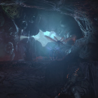Shacks Peak - Hive